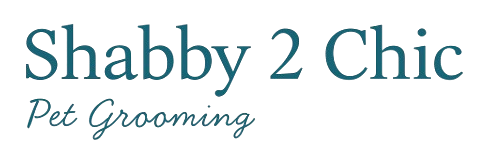 Shabby 2 chic pet grooming